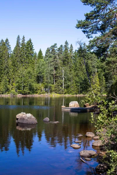 Stilla skogssjö med stenar och granspeglingar, sommar i Bergslagen